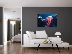 Obraz - Medúzka (90x60 cm)