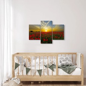 braz poľa vlčích makov (90x60 cm)