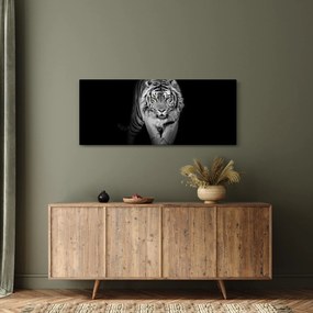 Obraz - Tiger so žltými očami (120x50 cm)