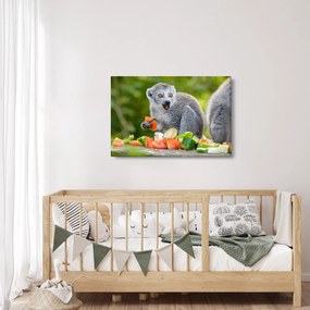 Obraz lemura (90x60 cm)