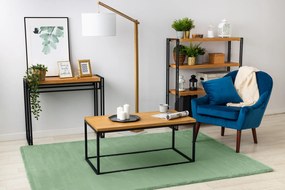 Koberec BUNNY, zelený, imitácia králičej kožušiny