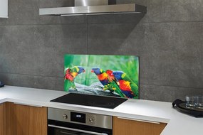 Nástenný panel  Farebný papagáj stromu 120x60 cm