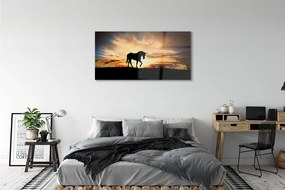 Obraz na akrylátovom skle Unicorn sunset 125x50 cm