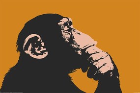 Plagát, Obraz - Monkey - Thinking, (120 x 80 cm)