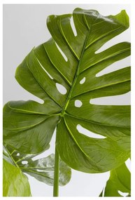 KARE DESIGN Dekoratívna rastlina Monstera 110 cm 110 × 50 × 40 cm