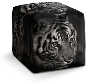 Sablio Taburet Čiernobiely tiger: 40x40x40 cm