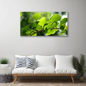 Obraz Canvas Vetvy listy príroda strom 140x70 cm