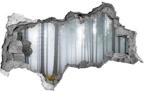 Nálepka fototapeta 3D výhľad Hmla v lese nd-b-74026356