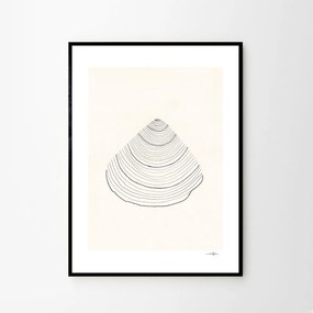 Moikka Plagát Shell by Ana Frois 30x40