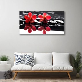Obraz na plátne Kvet kamene rastlina 120x60 cm