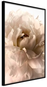 Artgeist Plagát - Soft Petals [Poster] Veľkosť: 30x45, Verzia: Čierny rám