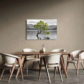 Obraz stromu uprostred jazera (90x60 cm)