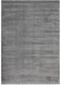 Koberce Breno Kusový koberec SOFTTOUCH 700/silver, strieborná,120 x 170 cm