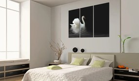 Artgeist Obraz - A lonely white swan Veľkosť: 120x80, Verzia: Premium Print