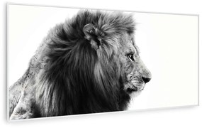 Klarstein Wonderwall Air Art Smart, infračervený ohrievač, 60 x 120 cm, 700 W, lev