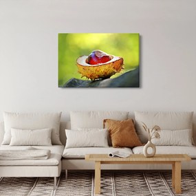 Obraz gaštanov (90x60 cm)