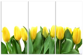 Obraz na plátne - Žlté tulipány 103B (135x90 cm)