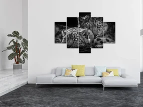 Obraz - Odpočívajúci gepardy (150x105 cm)