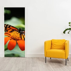 Fototapeta na dvere - Motýľ na kvetine (95x205cm)