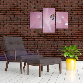 Obraz - Motýľ (90x60 cm)