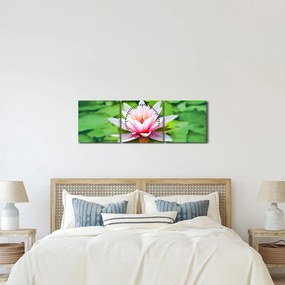 Obraz lekna na hladine (s hodinami) (90x30 cm)