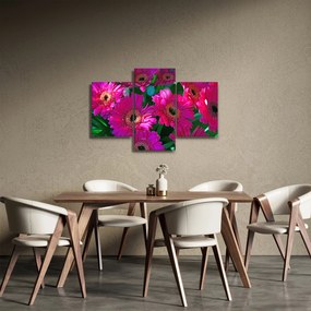 Obraz - kvety (90x60 cm)