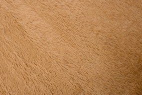 TA Koberec BÉŽOVÁ BÉŽOVÉ HODVÁB Rozmer: 120x170 cm