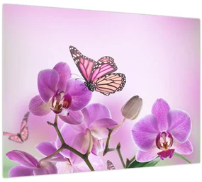 Obraz - Motýľ na kvetoch orchidey, lila (70x50 cm)