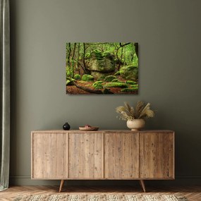 Sklenený obraz čarovného lesa (70x50 cm)