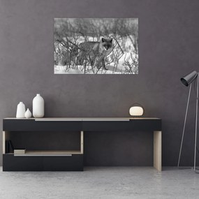 Obraz - Líška v zime (90x60 cm)