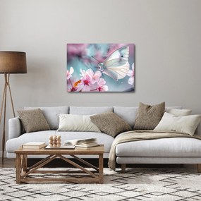 Obraz - Motýľ na čerešni (70x50 cm)