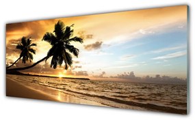 Obraz plexi Palma stromy pláž krajina 125x50 cm