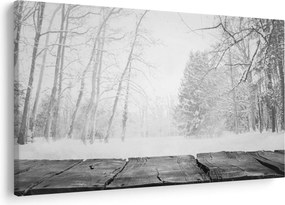 Obraz - Drevené mólo v zime (90x60 cm)