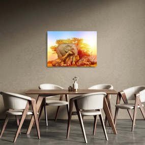 Sklenený obraz afrických zvieratiek (70x50 cm)
