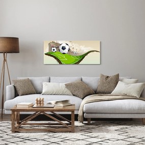 Obraz - Futbalové ihrisko (120x50 cm)