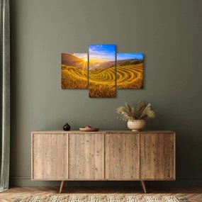 Obraz - Ryžové terasy vo Vietname (90x60 cm)