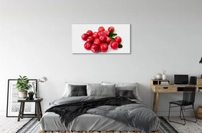 Obraz canvas avokádo 125x50 cm