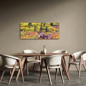 Obraz - Karibu na Aljaške (120x50 cm)