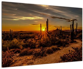 Obraz - Koniec dňa v arizonskej púšti (90x60 cm)