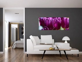 Obraz tulipánov (120x50 cm)