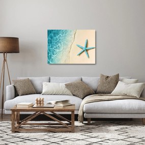 Sklenený obraz - Hviezdica na pláži (70x50 cm)