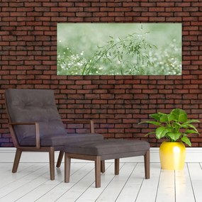 Obraz - Ranná rosa na steblach trávy (120x50 cm)