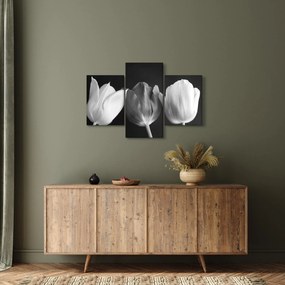 Obraz - Čiernobiele kvety tulipánov (90x60 cm)