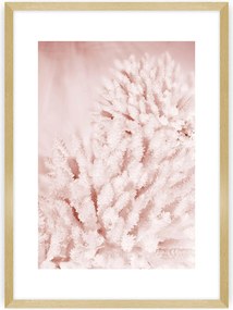 Plagát Pastel Pink II