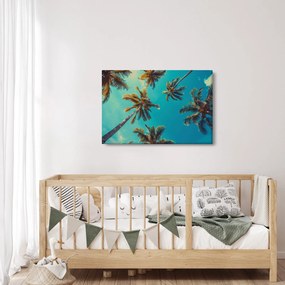 Obraz - Vysoké palmy (90x60 cm)