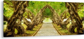 Obraz - Živý tunel z plumérií (120x50 cm)