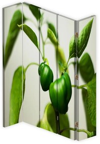 Gario Paraván Zelená paprika na vetve Rozmery: 180 x 170 cm, Prevedenie: Otočný paraván 360°
