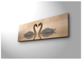 Obraz na plátne Swan Love, 90 × 30 cm