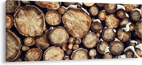 Obraz - Drevo v snehu (120x50 cm)