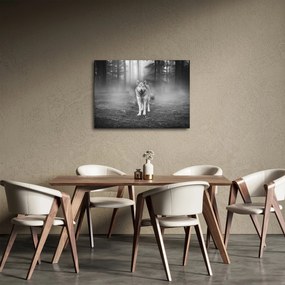 Obraz - Strážca lesa, čiernobiely (70x50 cm)